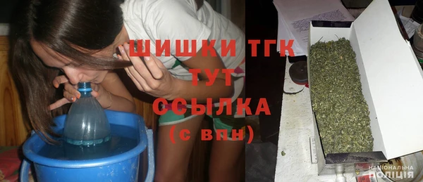 таблы Бородино