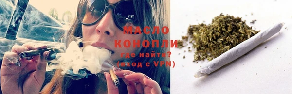 сатива Богданович