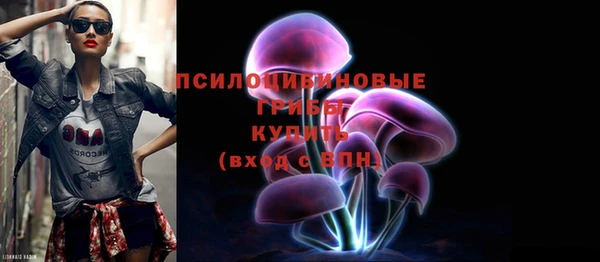 гашик Богородицк