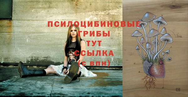гашик Богородицк
