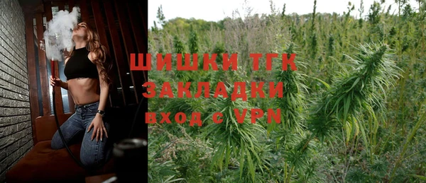 сатива Богданович