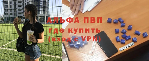 сатива Богданович