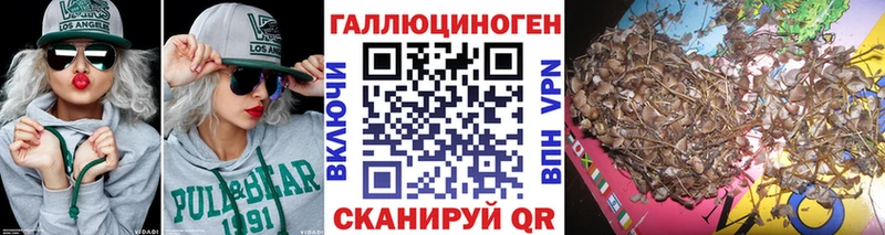 гидра   наркота  Костомукша  Галлюциногенные грибы прущие грибы 