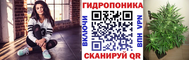 Бошки Шишки тримм  Костомукша 